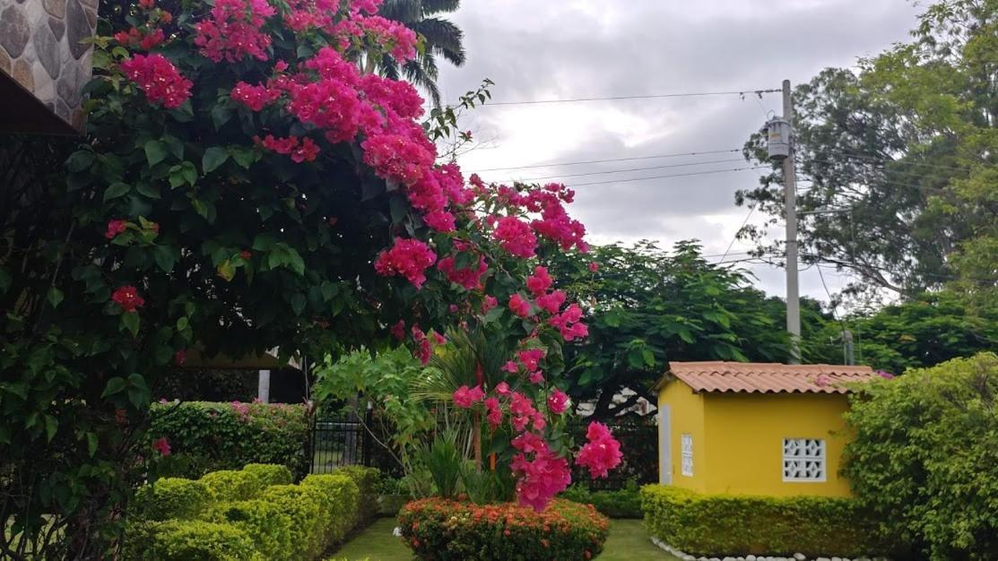 Casa De Los Suenos B&B Coronado Panama 普拉亚科罗纳多 外观 照片