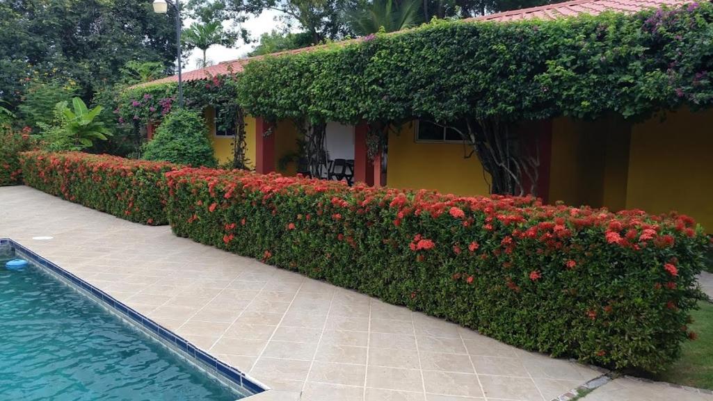 Casa De Los Suenos B&B Coronado Panama 普拉亚科罗纳多 外观 照片